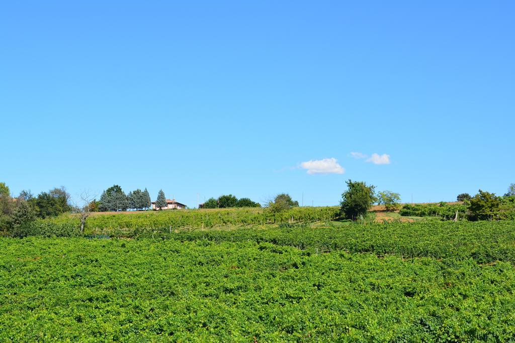 Monteveglio Le Stanze Di Baccoヴィラ エクステリア 写真